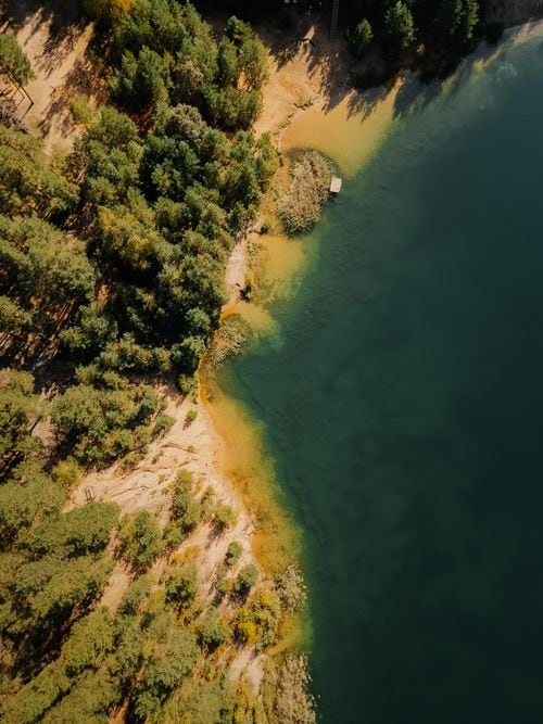 La isla donde todavía se escucha el eco de los hacheros del lago Lácar