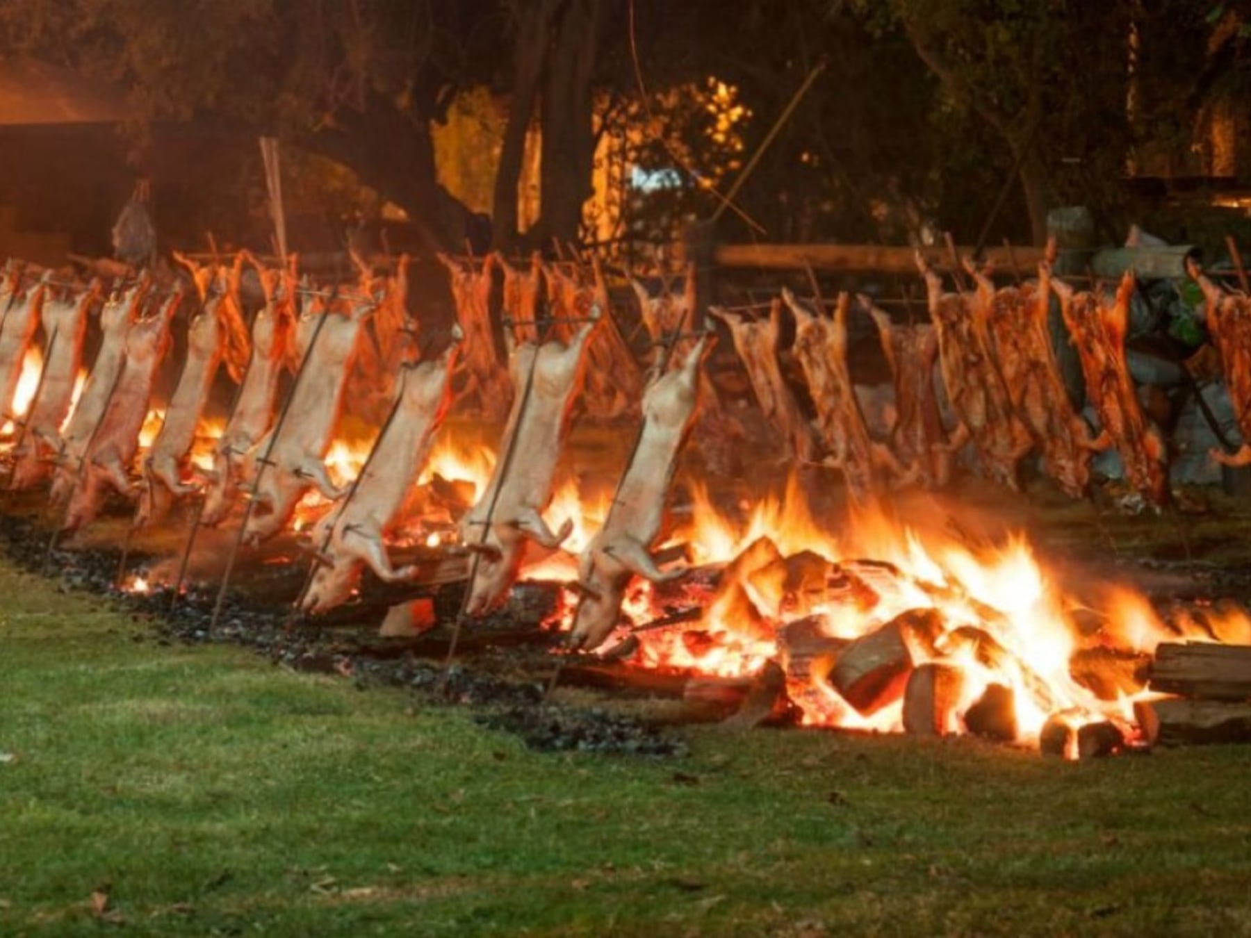 El feriado por la Diversidad Cultural despliega una agenda federal de sabores y tradiciones a lo largo de la provincia de Buenos Aires