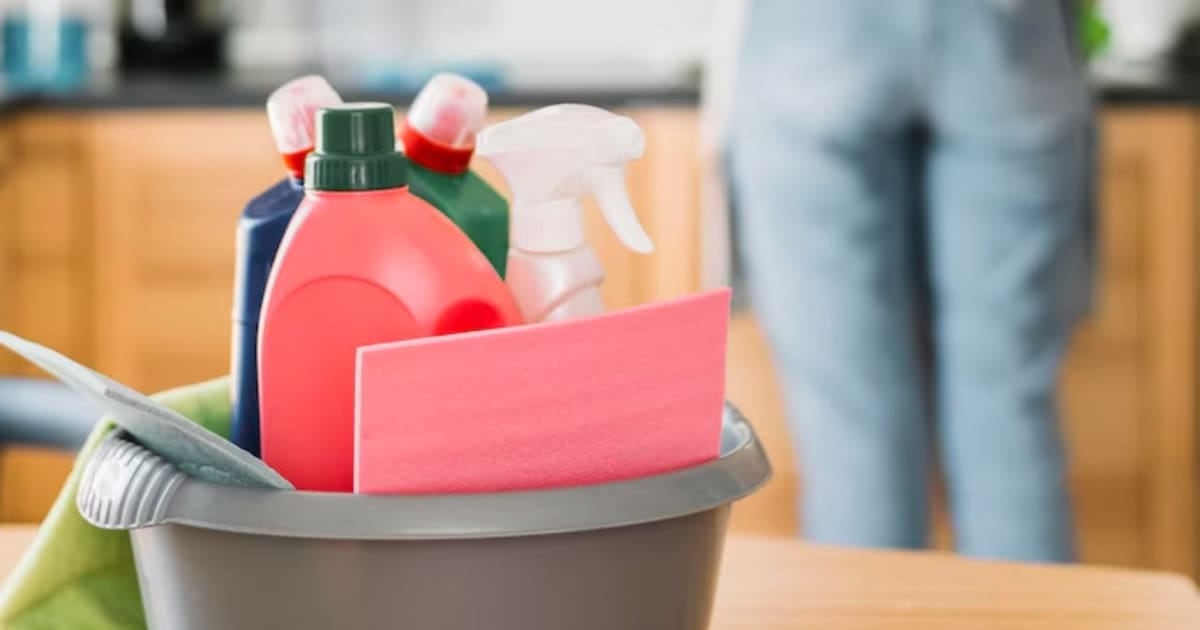 ARCA lanza un generador automático de recibos de sueldo para el personal de casas particulares
