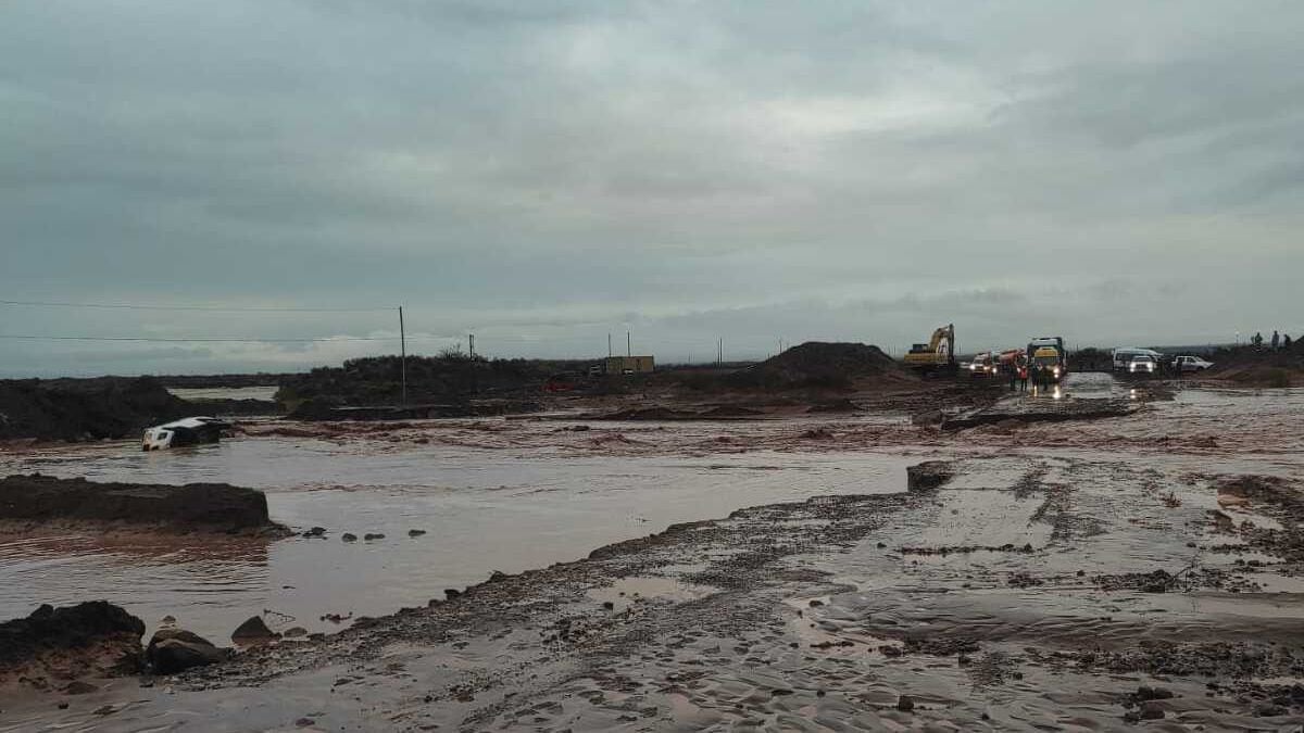 Rincón de los Sauces bajo agua: más de medio centenar de familias asistió Defensa Civil y la Ruta 8 sigue cerrada