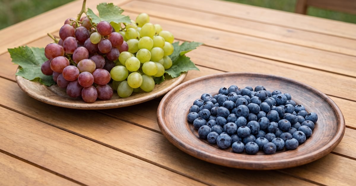 Arándanos o uvas en la mesa diaria: cuál pesa menos en el azúcar en sangre y por qué importa lo que le ponés al lado