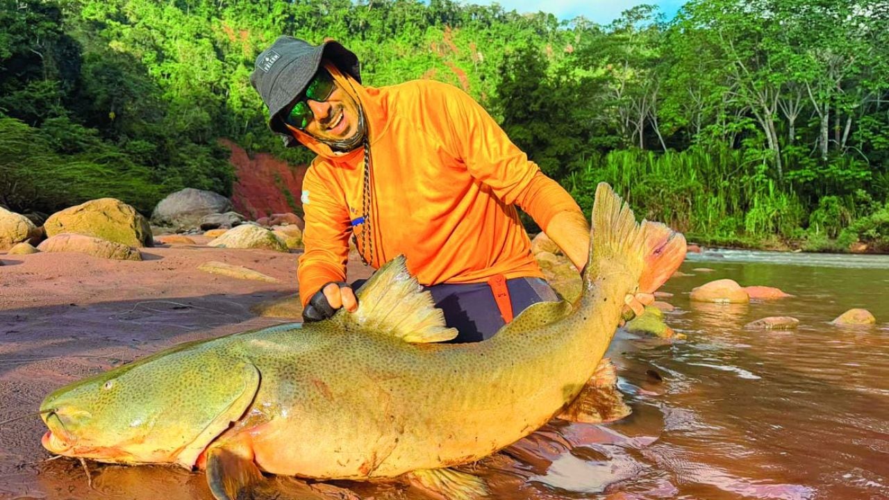 Pesca en la Amazonía boliviana: quince especies, jornadas de doce horas sobre el agua y piezas que pueden pasar los veinte kilos