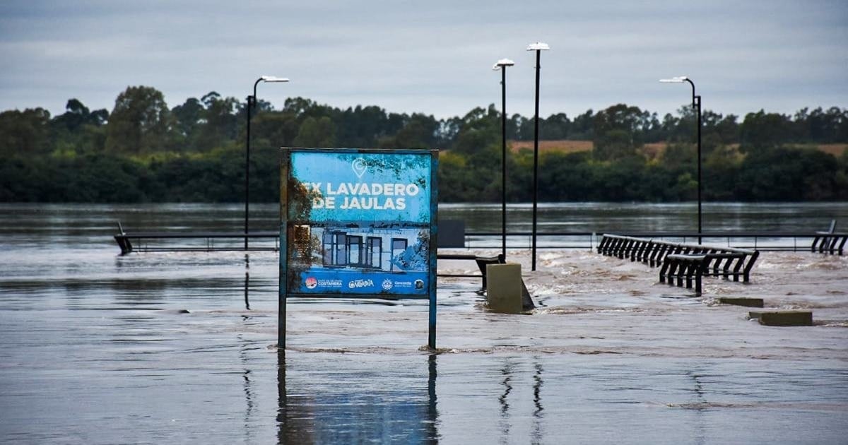 El Niño empuja al Río Paraná a caudales históricos y recalienta el precio de la carne antes de las Fiestas